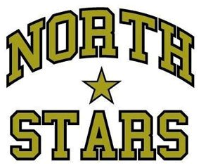 Thunder Bay North Stars 2010-2012 Primary Logo iron on transfers for clothing